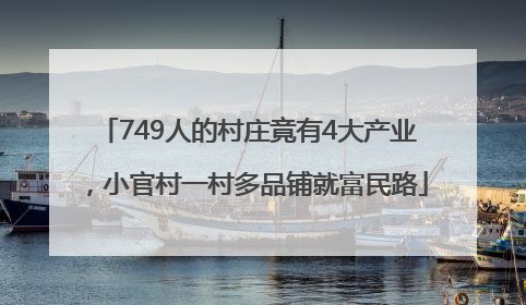 749人的村庄竟有4大产业，小官村一村多品铺就富民路