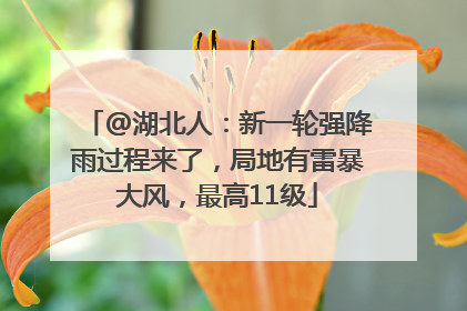 @湖北人：新一轮强降雨过程来了，局地有雷暴大风，最高11级