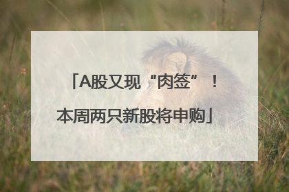A股又现“肉签”！本周两只新股将申购