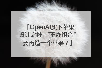 OpenAI买下苹果设计之神 “王炸组合”要再造一个苹果？
